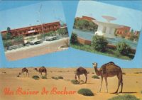 Algeria - Bechar