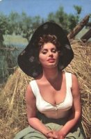 Sophia Loren Colori