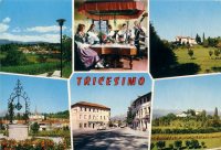 Friuli Venezia Giulia - Udine - Tricesimo - 1974